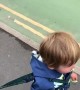 Truck Loving Kiddo Gets a Honk
