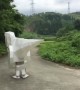 Exoskeleton dinosaur "Uchino Shiro" goes for a walk