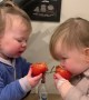 Twins Giggling While Munching on Tomatoes