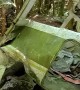 Hiker Finds Plane Wreckage