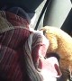 Nervous Rescued Bobcat Kitten Explores Car