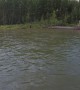 Grizzly Bear Encounter on SUP