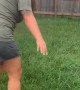 Wife Gets Huge Surprise While Trying to Catch a Frog