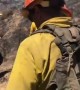 Orange County Firefighters rescued lost dog on the fire line
