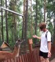 Don't Annoy an Alpaca