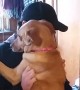 Happiest dog welcomes back owner after being away for 2 months