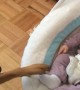 Dog amazingly trained to rock baby to sleep