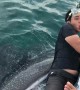 Friendly Whale Shark Causes Skittish Man to Cling to Boat