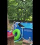 Black Bear Takes a Dip in the Pool