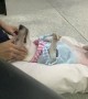 Blissful Doggy Enjoys a Relaxing Massage