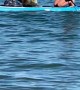Sammy the Seal Hijacks Paddle Board