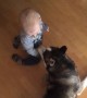 Husky Playing with Baby