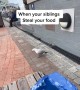Seagull Steals Snack From Other Seagull