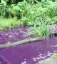 Purple River Flowing in Scotland