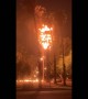 Lightning Strike Palm Tree Fire