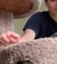 Son Messes With Cat and Gets Clawed