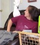 Girl Does Duet With With Cockatoo