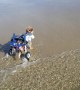 Disabled Doggy Enjoys Time at the Beach Being a Land Shark