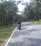 Riders Pass Leopard on the Road