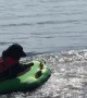 Doggy Delighted by Tubing Ride