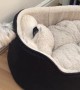 Terrier Dogs Play Hilarious Game of Peek-a-Boo
