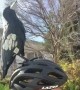 Magpie Call Keeps Cyclist Safe From Being Swooped
