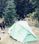 Bears Raid Tourists Tent