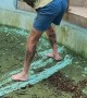 Slippery Pool Proves too Slick for Worker