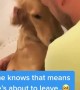 Pup gets sad every time owner gets dressed for work