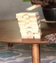 Clever Dog Plays Jenga with His Owner