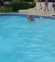 Kid running on water pulls off epic trick shot