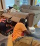 Firefighters Rescue Dog Trapped in Recliner