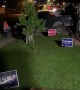 People Attempting to Take Yard Signs Met with Paintballs
