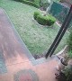 Delivery Person Plays Package Frisbee