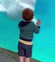 Kid Meets a Beluga Whale at Mystic Aquarium