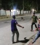 Dog Engages in a Game of Streetside Soccer