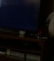 Dog Doesn't Like Moving TV Logo
