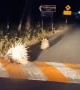 Wandering Porcupines Slow Nightly Traffic