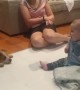 Excited Baby Meets Puppy for the First Time