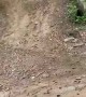 Four-wheeler Hill Climb Goes Backwards and Bad