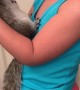 Squirrel Loves Being Held by His Best Friend