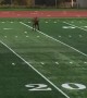 Moose Plays Some Soccer
