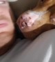 Pup has super sweet reaction every time owner kisses him