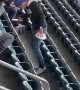 Pigeon Lands on Eagles Fan Shoulder