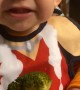 Baby Tries Broccoli