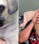 Wife Surprises Husband With Puppy After Losing Pug Of 11 Years