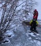 Firefighters rescue deer from icy lake in Colorado