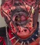 Talented Makeup Artist Handles Spiders for Costume