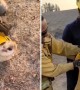 Firefighters rescue burned barn owl from massive California wildfire
