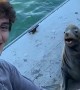 Lining Up a Photo Op with Sea Lion